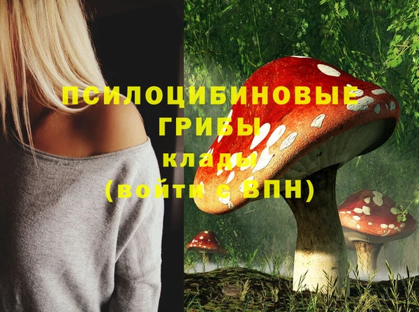 круглые Корсаков