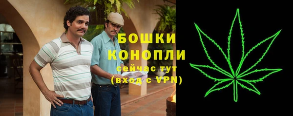 круглые Корсаков