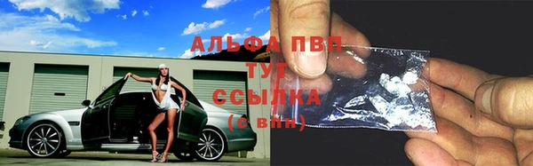 круглые Корсаков