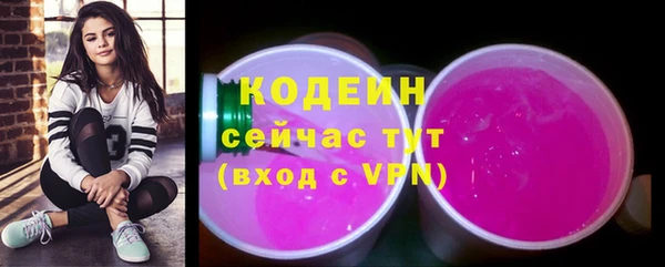 круглые Корсаков