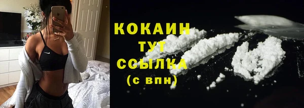 круглые Корсаков