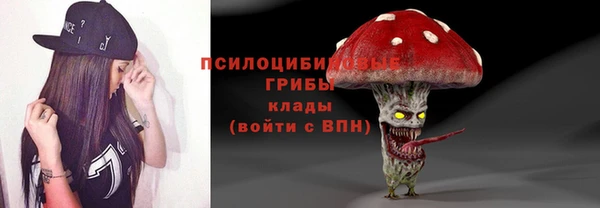 круглые Корсаков
