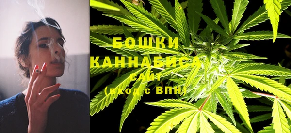 твердый Коряжма