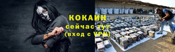 твердый Коряжма
